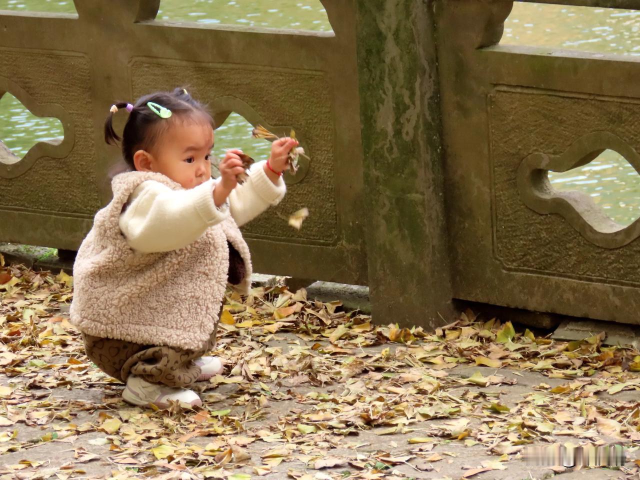 秋日童趣：小宝贝与落叶共舞🍂👧🏻
天童寺