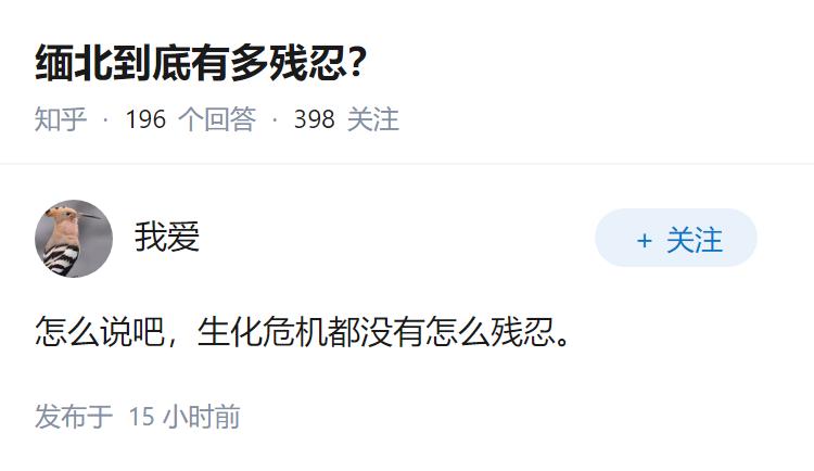 缅北到底有多残忍？