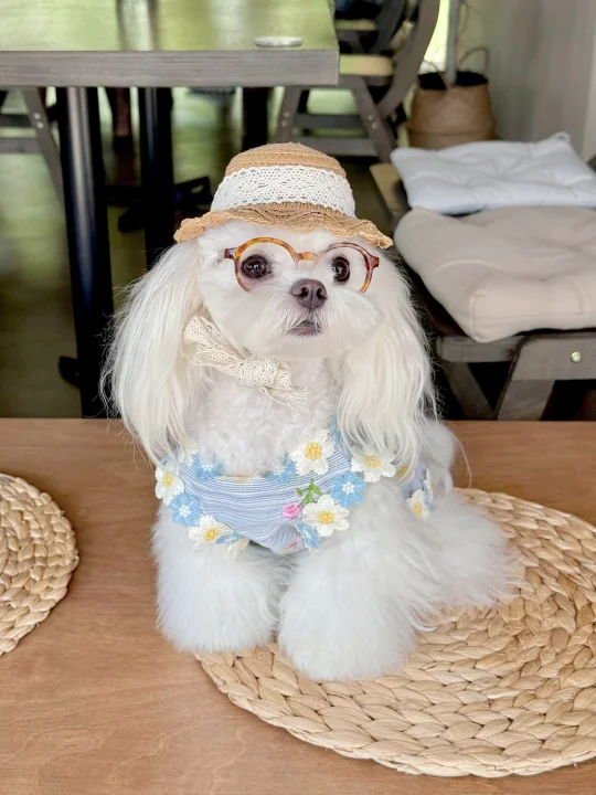 准备度假🏖️中的小勾～～