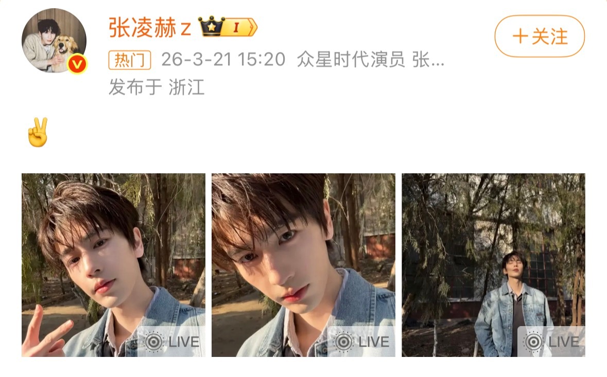 张凌赫男大自拍张凌赫春日live自拍自带阳光滤镜的男大自拍，这组live图氛围感