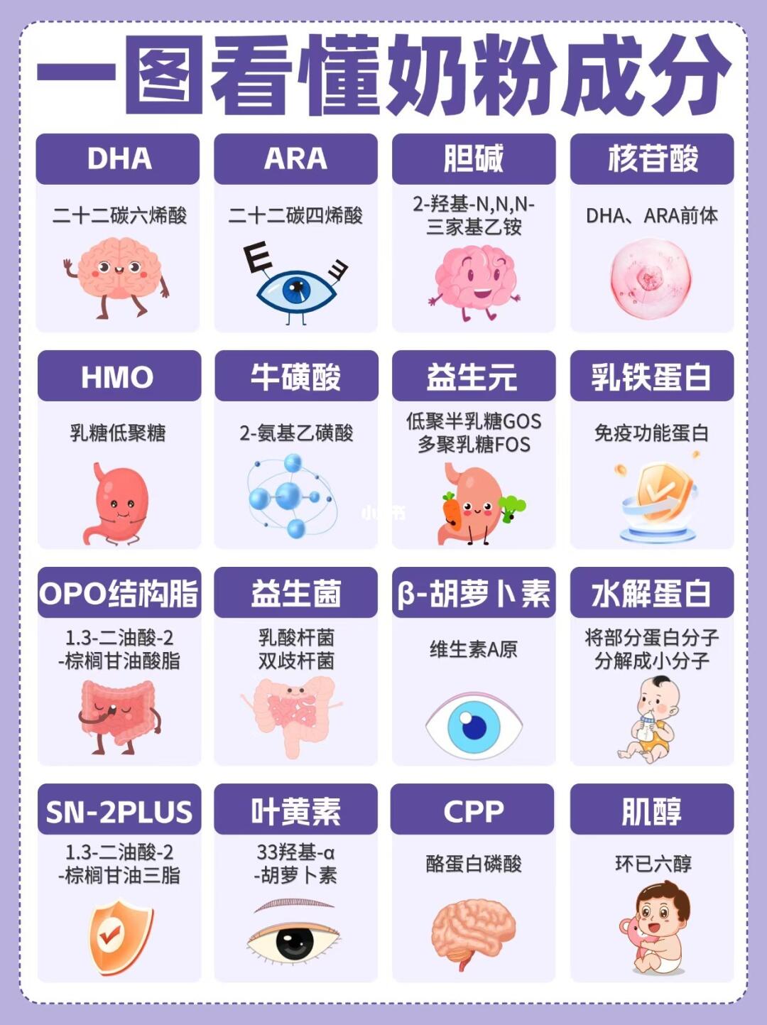 营养全面守护
