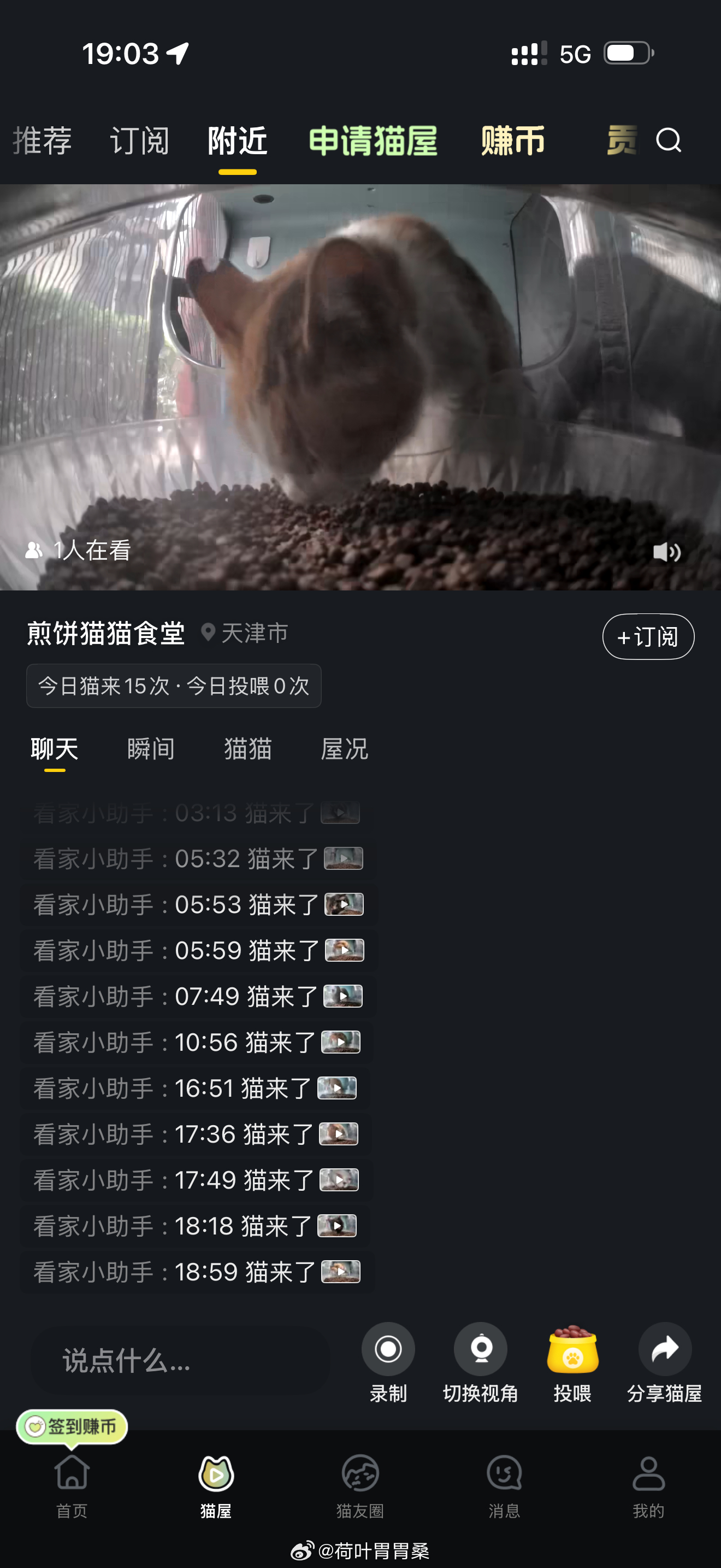 这么多！这不得爽吃嘛 