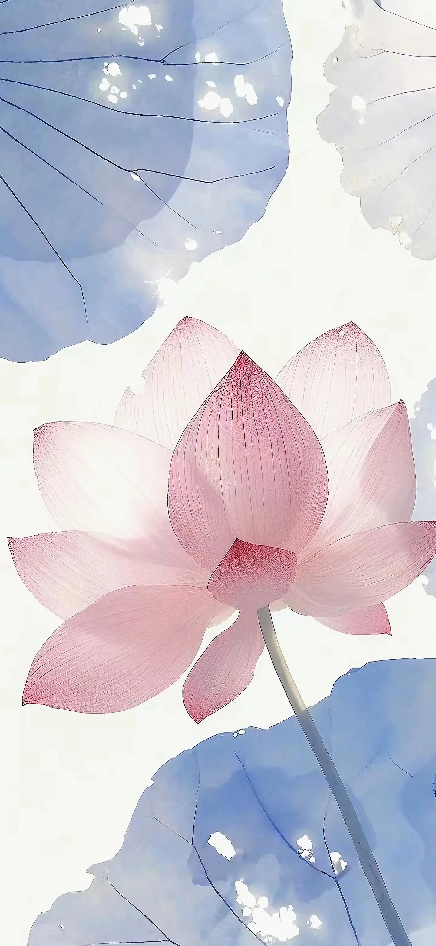 花会沿途盛开，我的未来也是。 治愈壁纸，好运壁纸，清新壁纸，简约壁纸...
