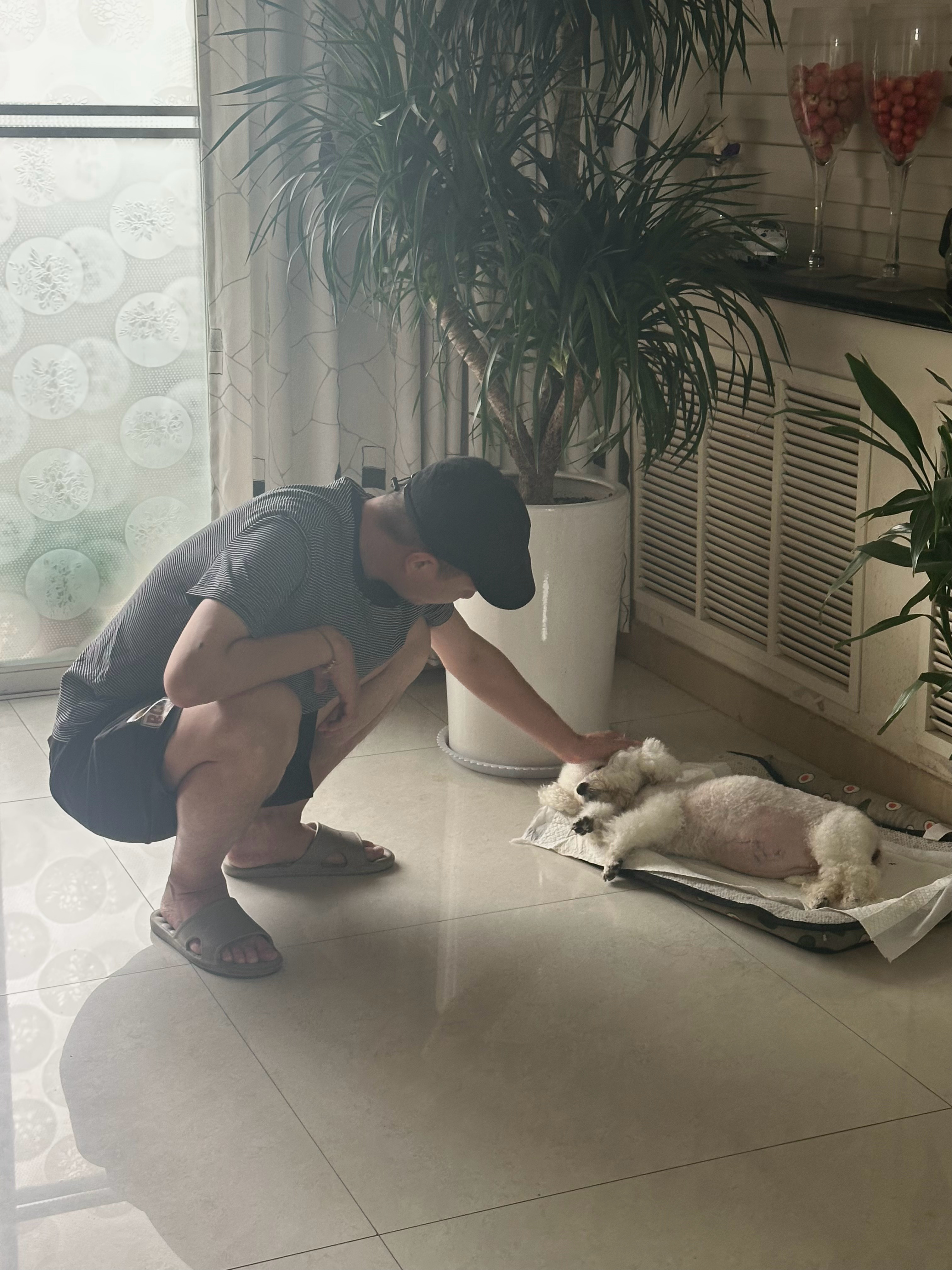 十一这样瞪着眼睛看着我 让我想到当时捡到它时 它也是瞪着两个黑溜溜的眼睛 在路边