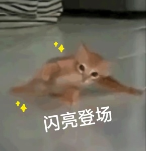 更新整理一下排播🍉～～～（260517版）⭕ 【5月】🐧：《月明千里》（5月