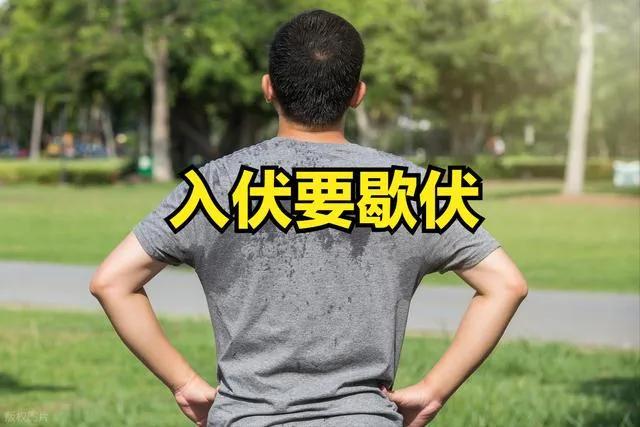 “入伏要歇伏，不能床上躺”，7月15日入伏，该怎么样歇伏呢？

民间老话讲究入伏