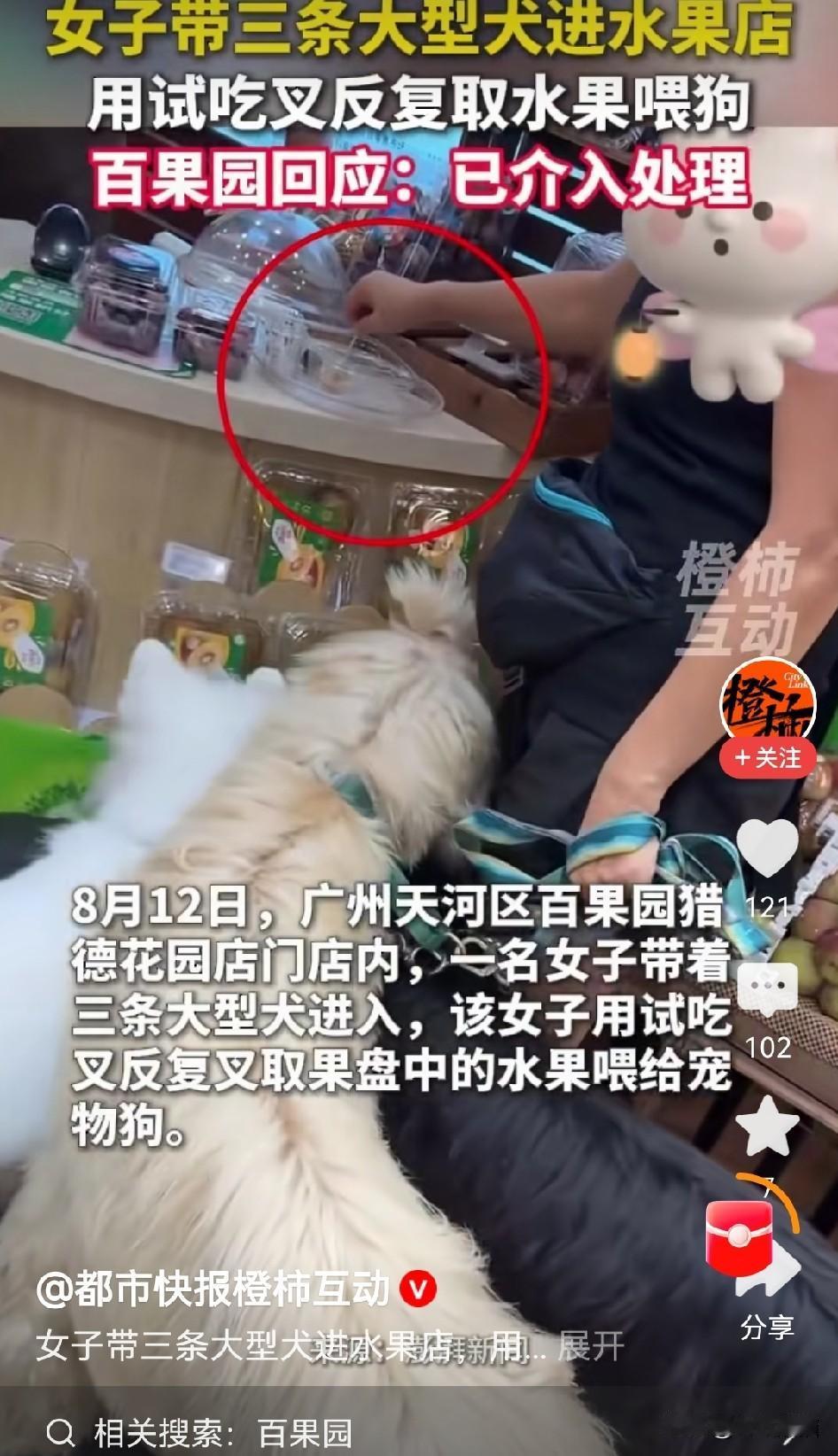 一女子带三条大狗进水果店，拿公用试吃叉喂狗，这事闹大了！
事发广州一家百果园店里