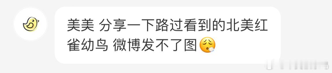 #鸟粉投稿# 主红雀的宝宝[开学季]孩子长大后雄性就会变成红色的“愤怒小鸟” ​