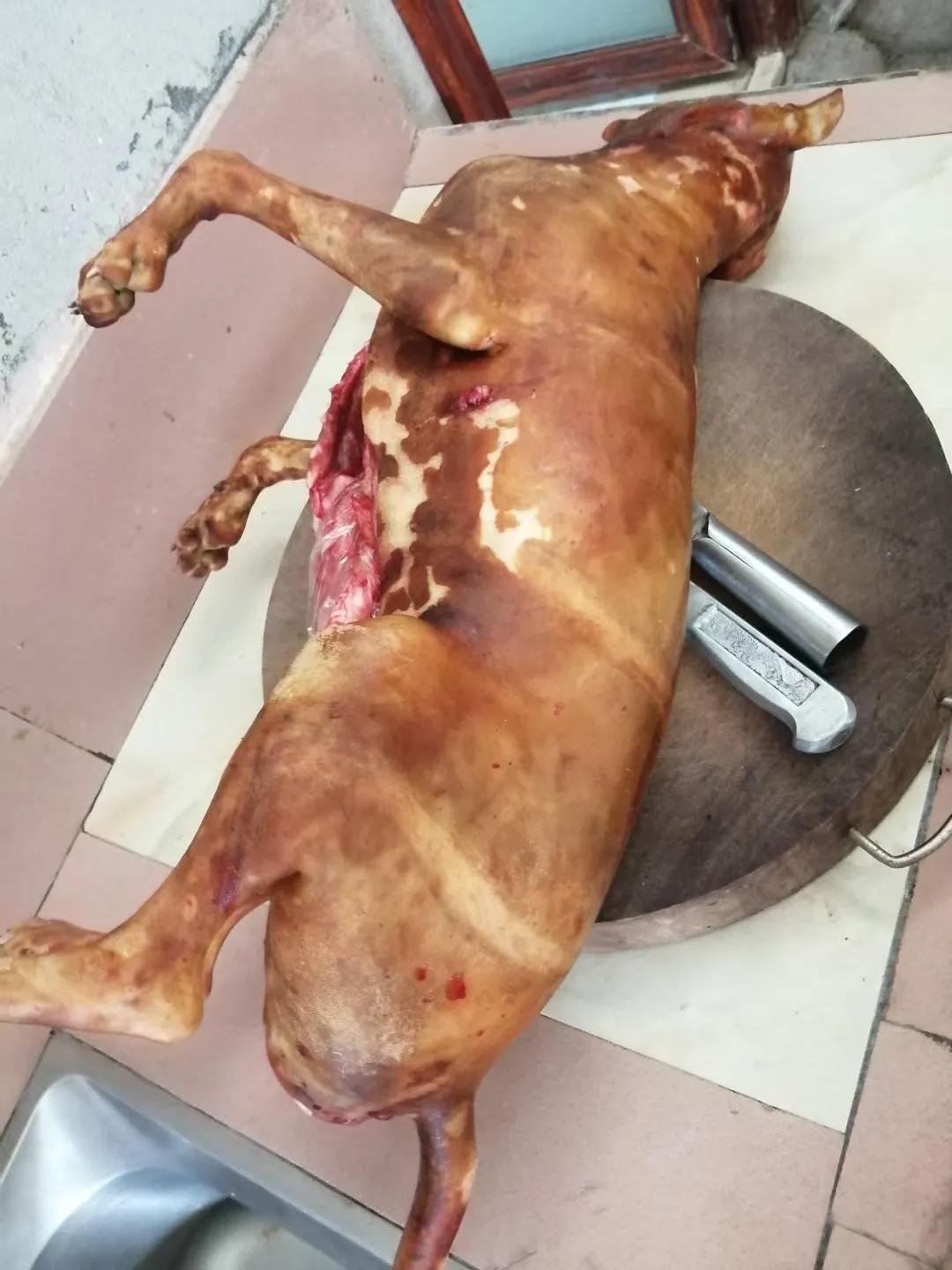 下雨的周末
真好
终于可以停下休息休息了
那么多天的学习理论，实操练习，累了累了
