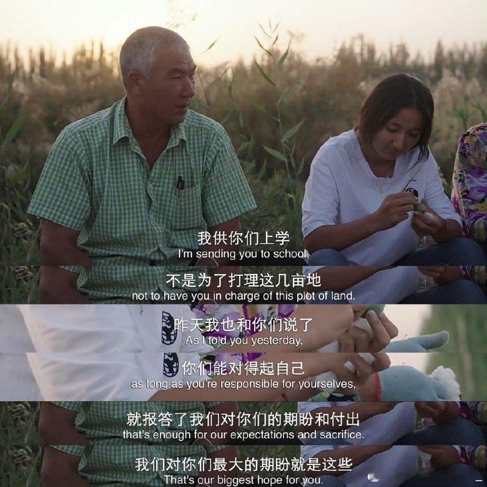 这片土地长出了最美的云朵别人家的云在天上飘，新疆的云在地上跑！《地上的云朵》把棉