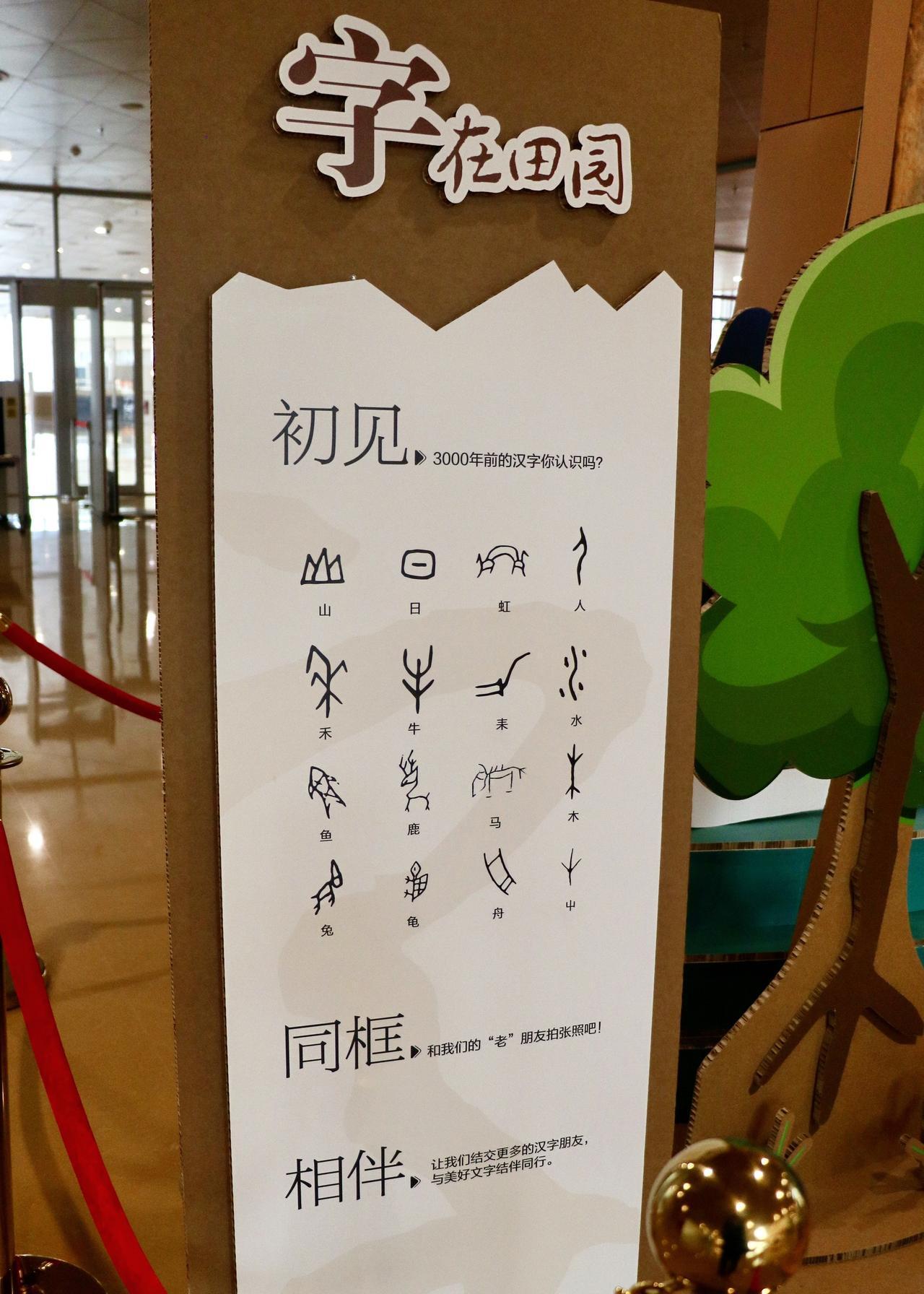曾以为：
风有约，花不误，年年岁岁不相负。
后来明白：
半生花开，半世落，回首过