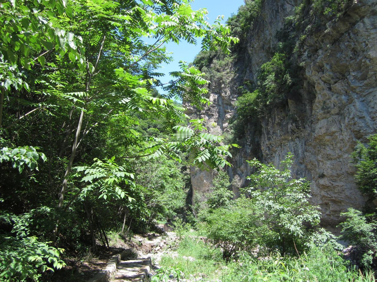 小鹰弄不了波斯猫，现在转移目标，开始想办法给东方施压，还警告咱们要是发现和波斯猫