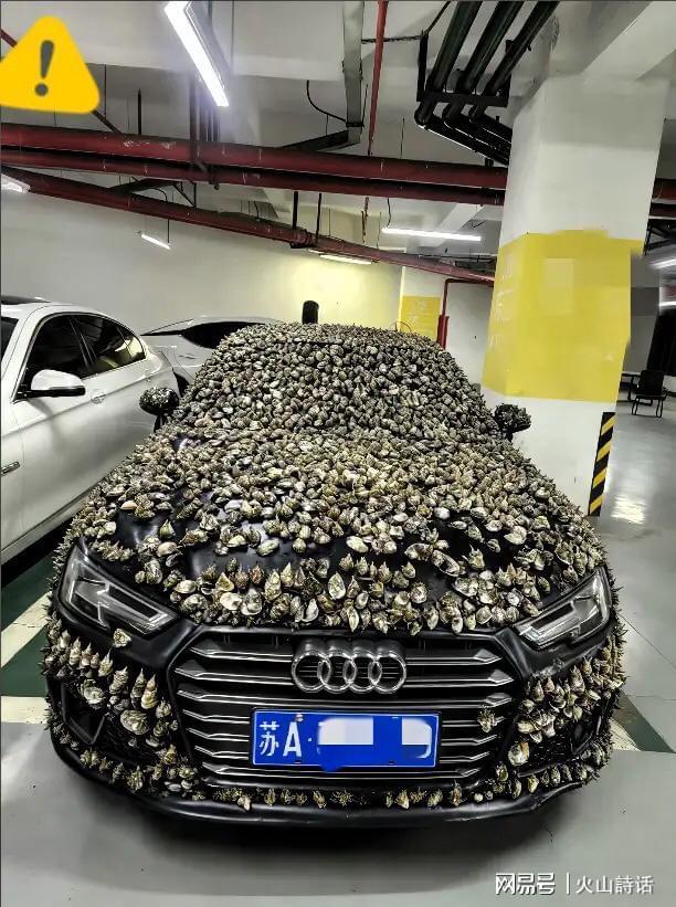 “一分钱不要，也得让你长记性！”业主车位被霸占10天，一怒之下做了这种事

事情