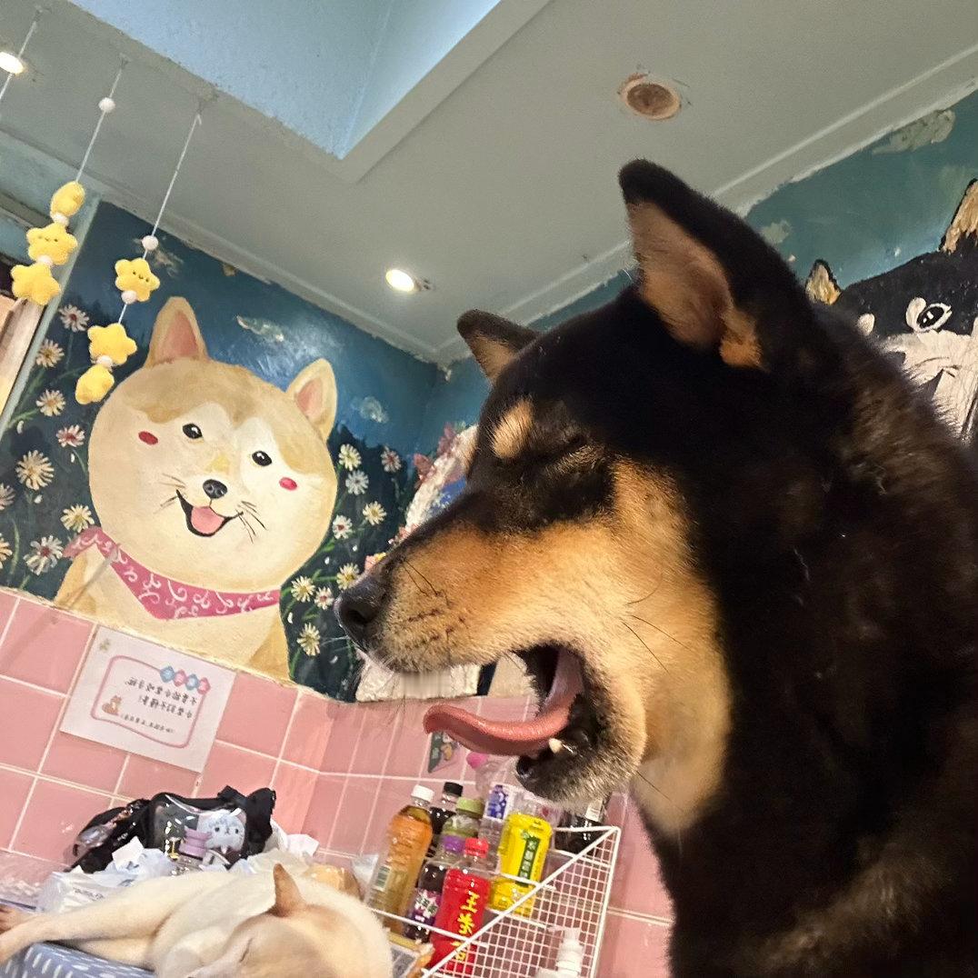 土方十四郎 ​​​