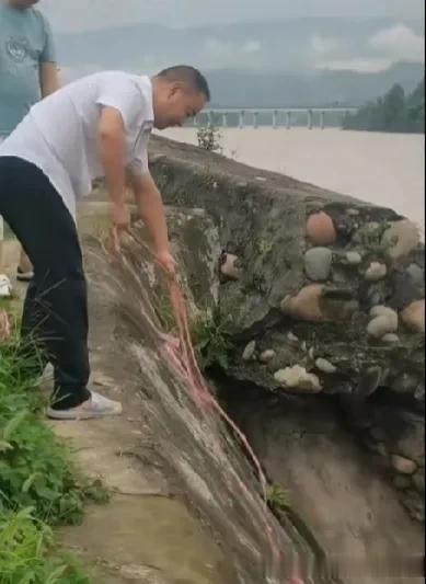 “好聪明的狗咬着好心人丢下的绳子自救＂万物皆有灵性。

狗狗掉落山崖一水里边挣边