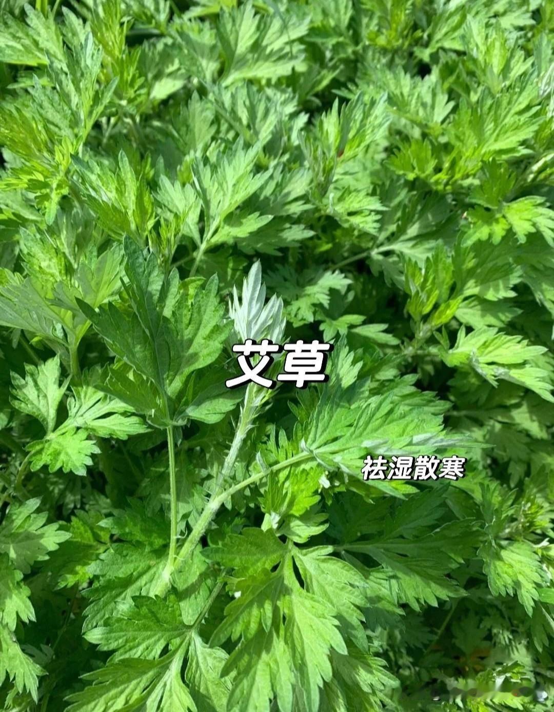 大家好，我是雨锌姐姐🌿

昨天在小区遛弯，碰到一位宝妈推着娃，眼圈黑得像大熊猫