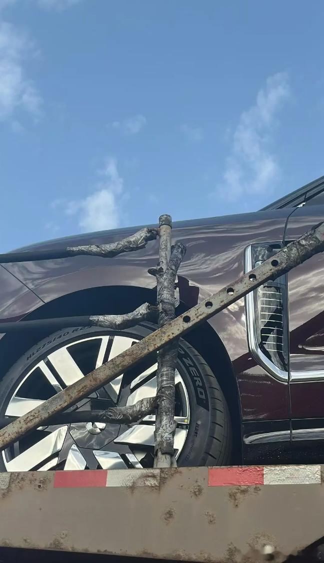 蔚来ES9来了！果然帅！ 