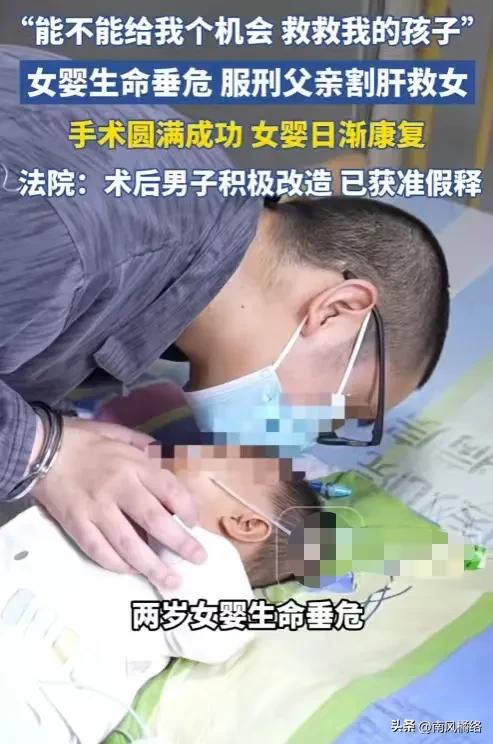 一个正在监狱服刑的父亲，得知女儿肝病危重命悬一线，跪求：“给我个机会救孩子！”配