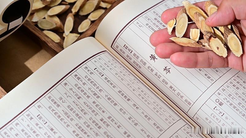 黄芪泡水伤肾？真相和你想的不一样

最近“黄芪伤肾”的说法让不少人慌了。其实，在