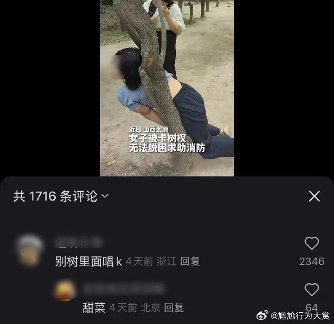 别树里面唱k 迷惑行为大赏 ​​​
