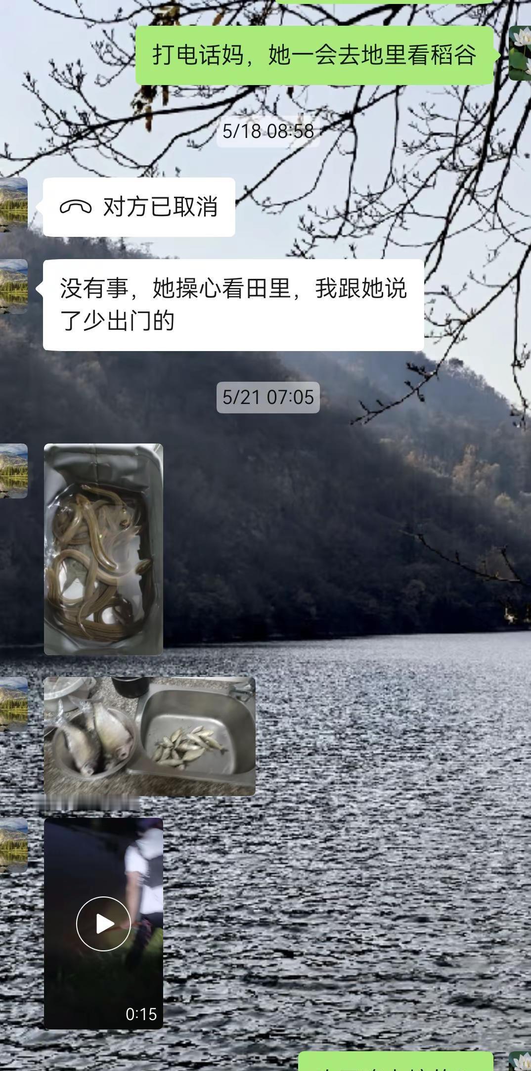 江汉平原的大雨带来了巨大的灾难和损失，应该是73年来的大降雨，和往常无数个日子一