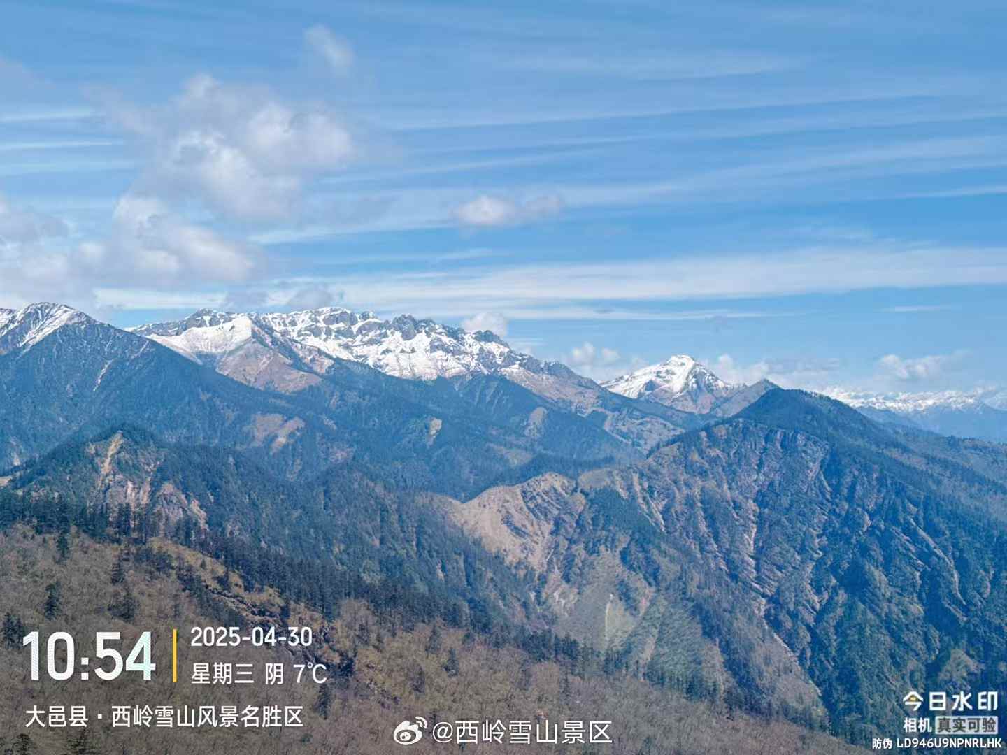 4月30日西岭雪山实拍，五一不来西岭雪山爬山可惜了，徒步、赏花、观雪山出发吧！#