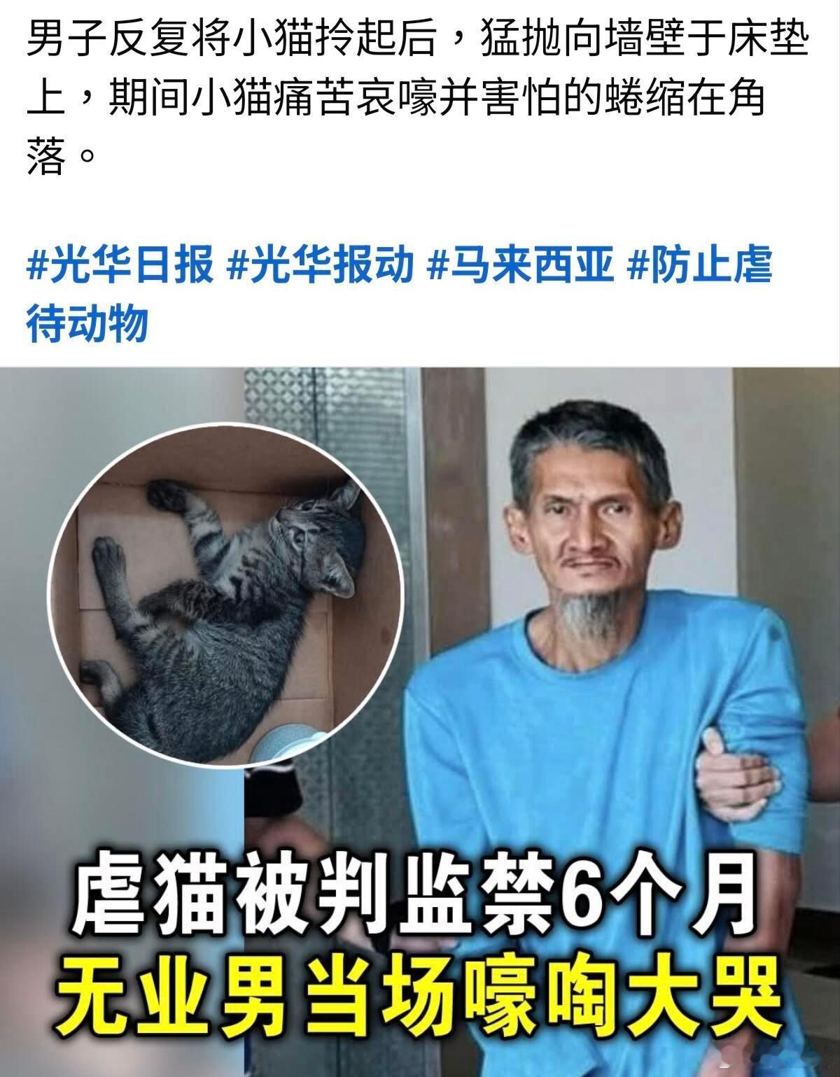 -马来西亚光华日报:虐猫被判监禁6个月，无业男当场嚎啕大哭 