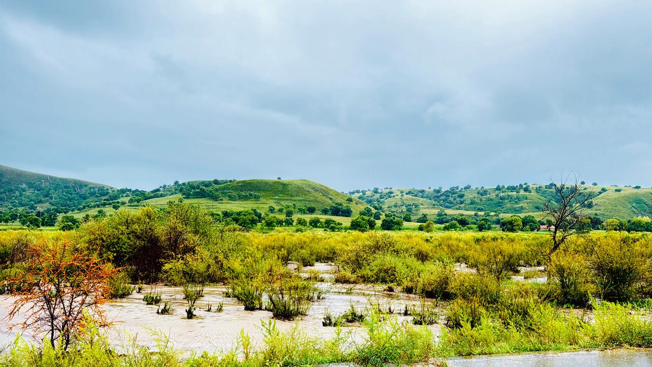 《初秋贴》
文/图 妘朵

风把云揉成薄纱时
蝉鸣正褪去最后一声嘶哑
风，不小心