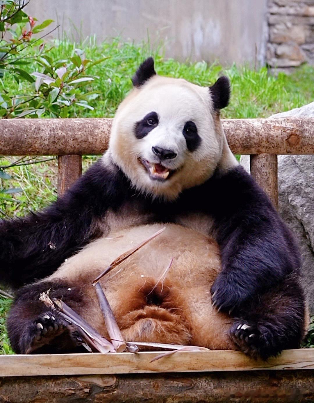 每天早起打卡早安～ 