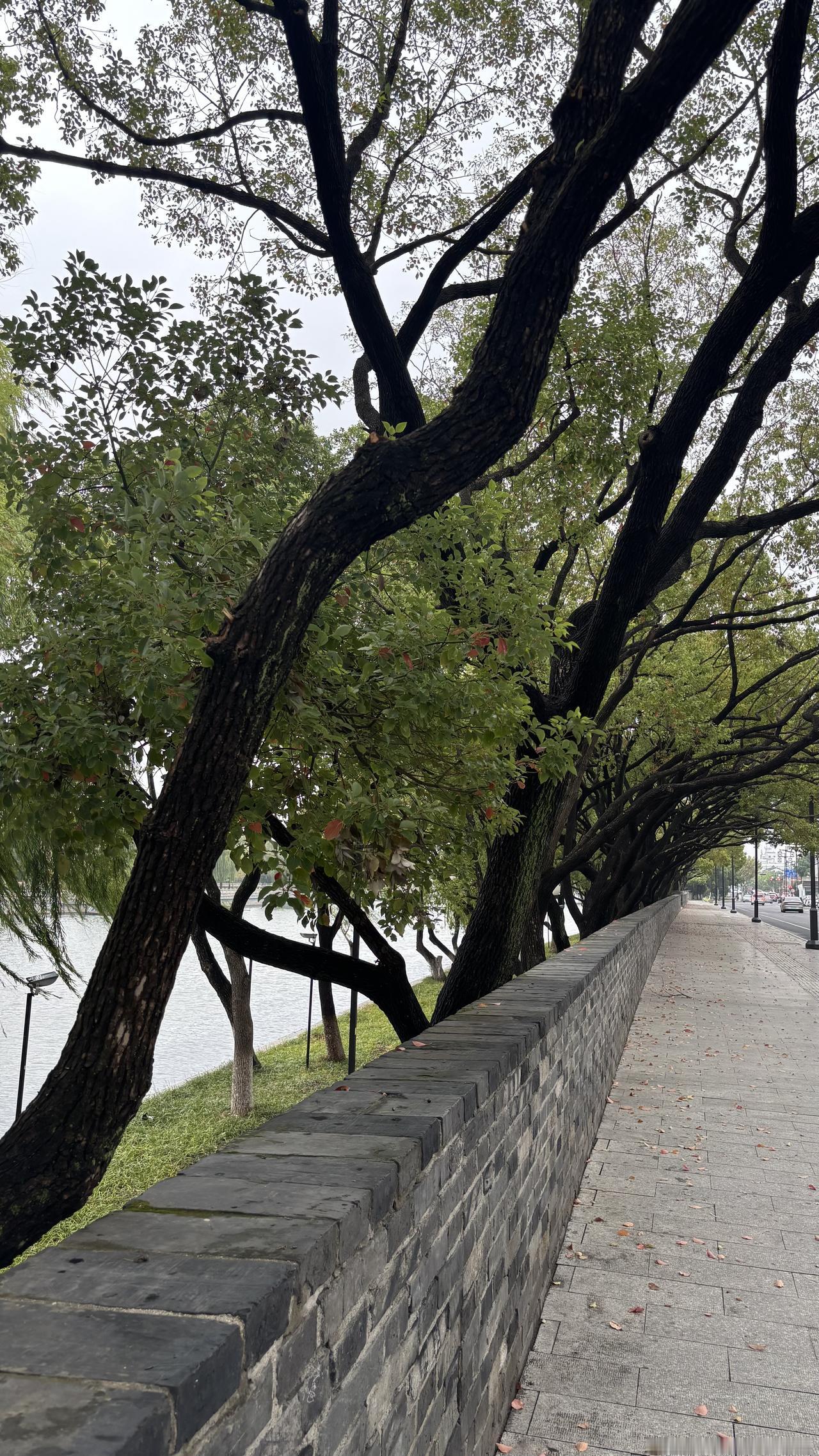 深秋的苏州城，有历史的深邃，又不乏江南的风韵