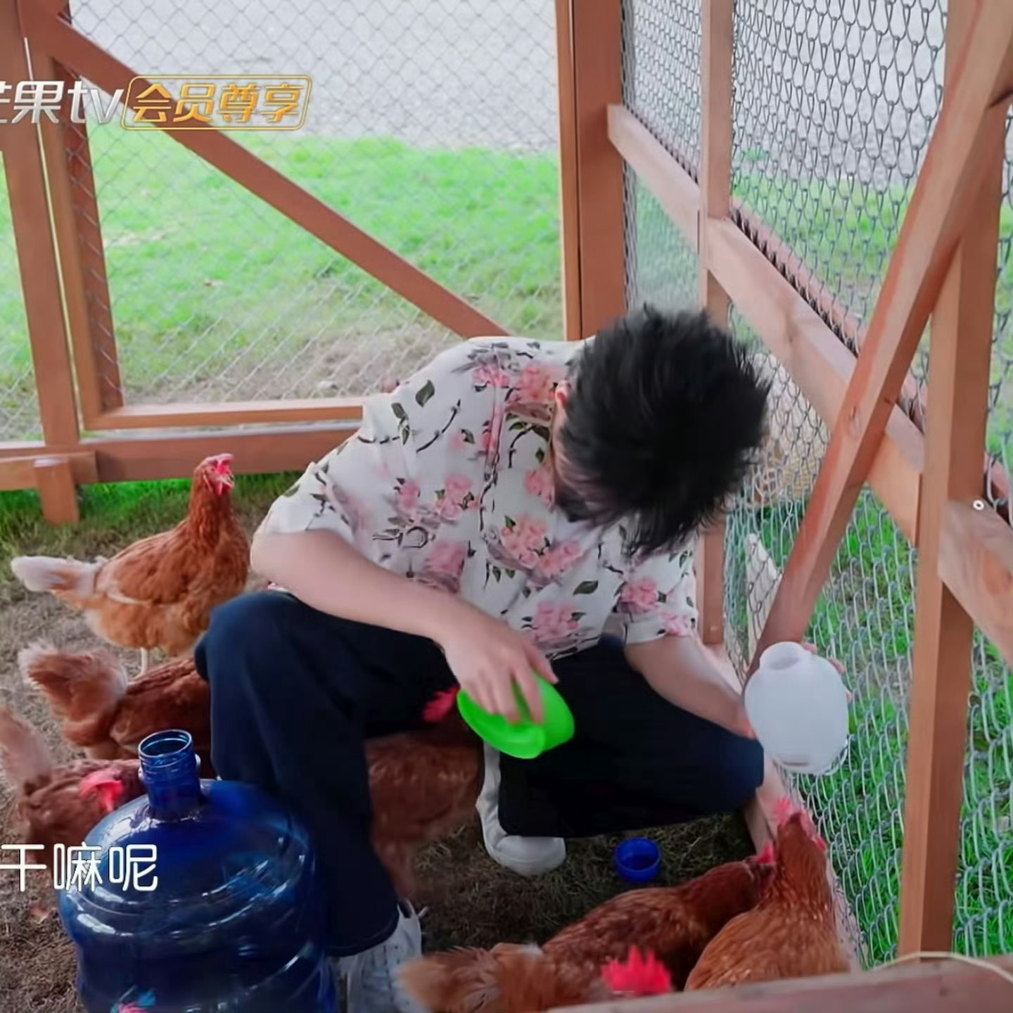 发出了王俊凯同款疑问王俊凯你这只鸡最精了 发出了王俊凯同款疑问 ，哈哈哈哈干嘛呢