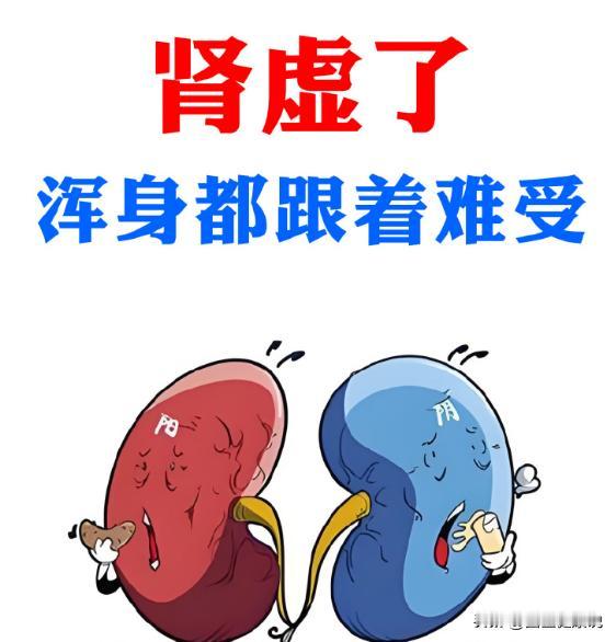 一喝水尿就多一定肾虚？
 
日常生活中经常听到：“我一喝水，尿就多，是不是肾脏不