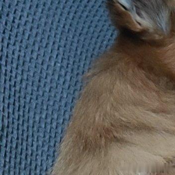 阳光信用 每日一善 以善待人，以暖接物，日子清透，岁岁无忧 