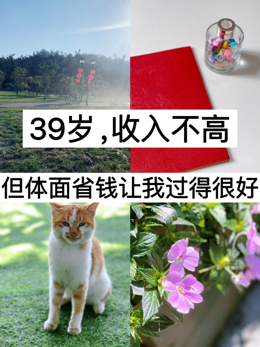 39岁，收入不高，但体面省钱让我过得很好！