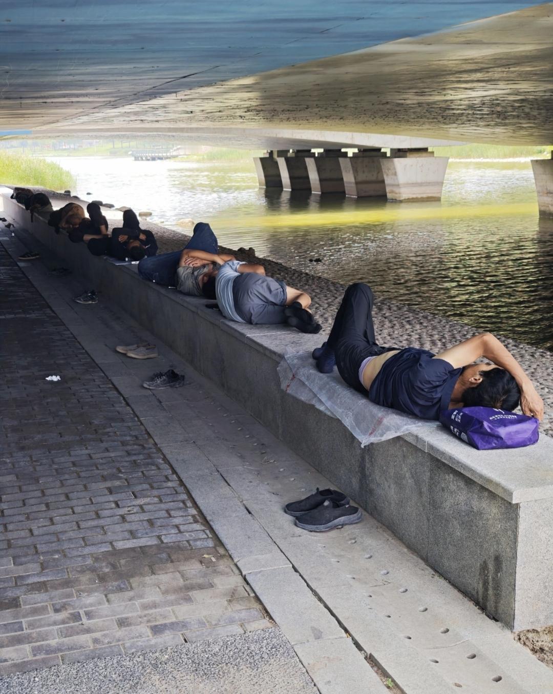 桥洞为家，生活不易！

哪个普通人不是在夹缝里讨生活？
烈日炎炎的夏日，桥洞里一