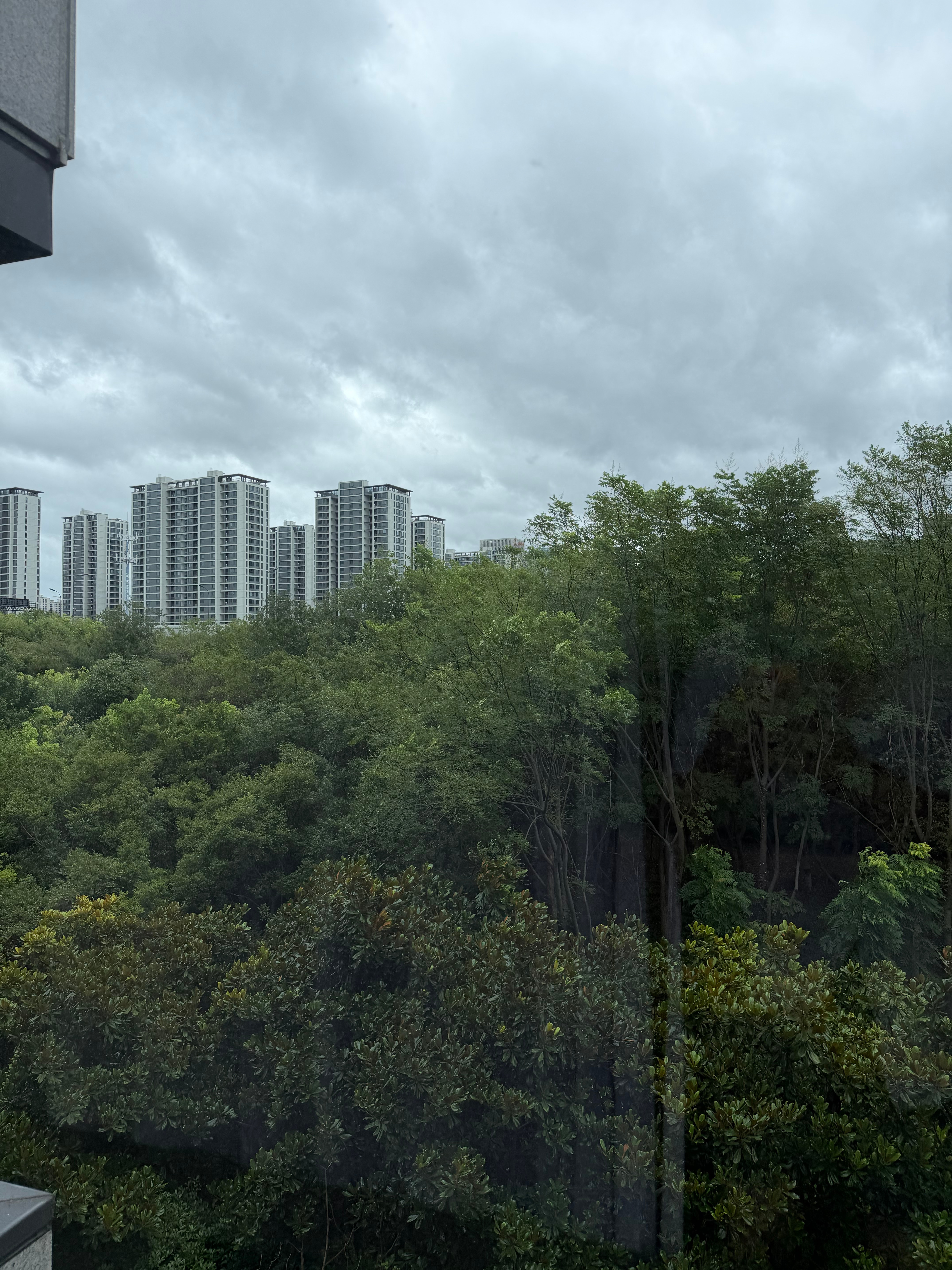 台风呢 这雨杭州都没怎么下台风巴威已登陆 杭州·杭州奥体博览城