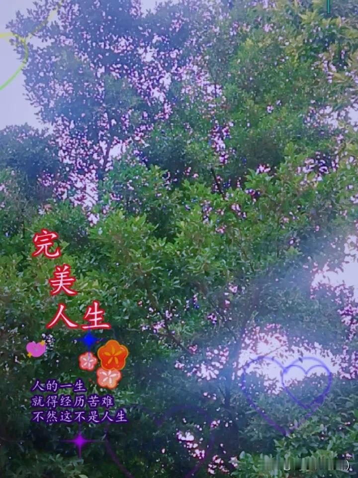 秋日生活打卡季打卡任务