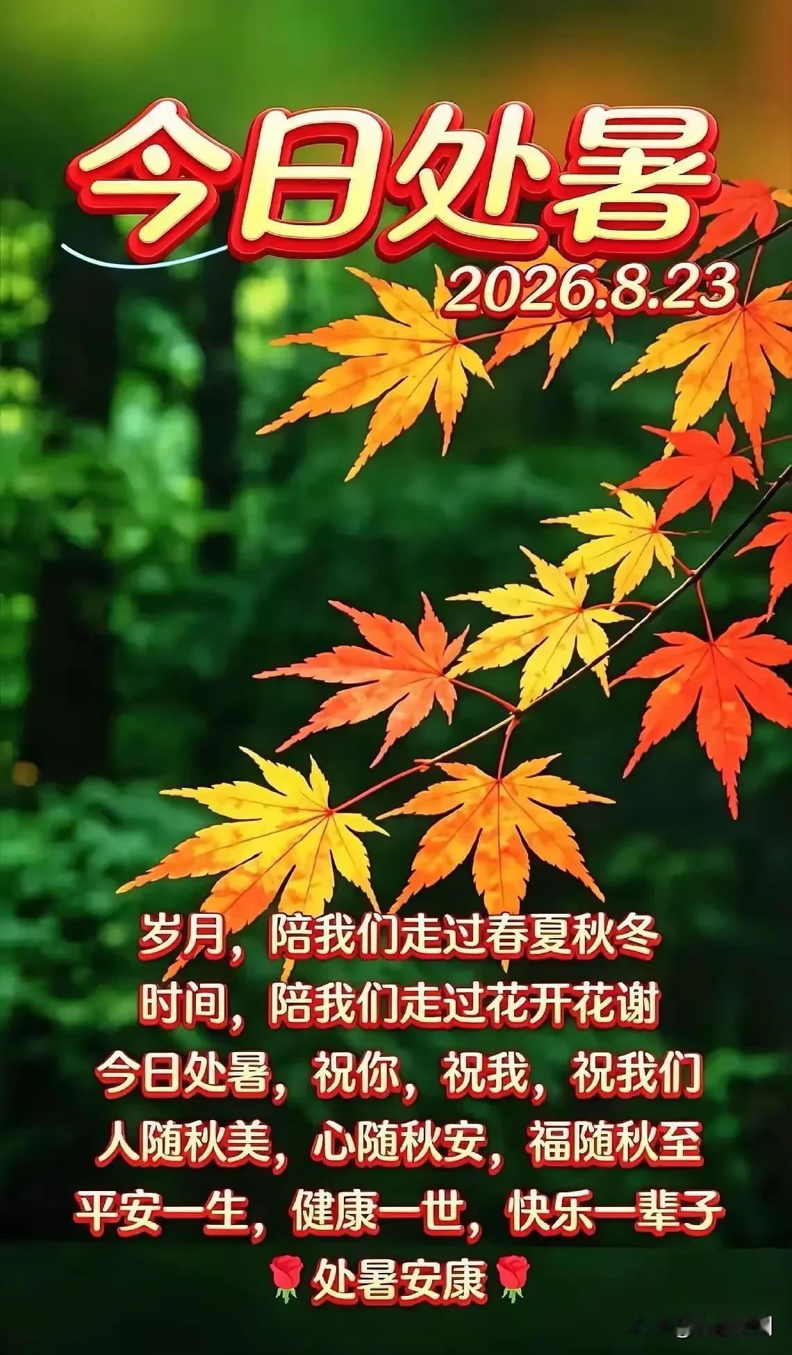 处暑安康

8月23日，处暑安康✨
今日“暑”你日子最顺，
“暑”你运气最好，