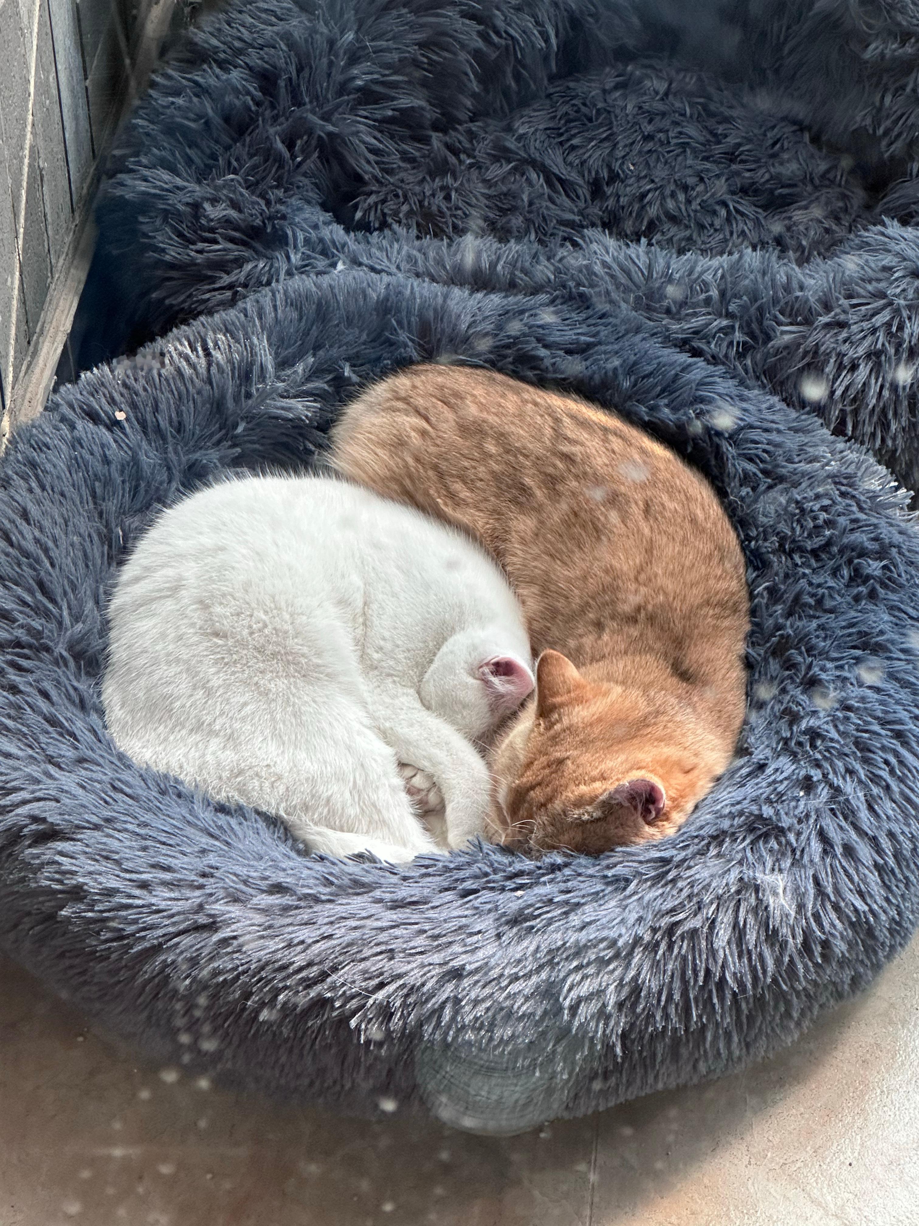 阳光信用  生活没有那么多惊天动地，更多是藏在烟火里的细碎温暖。清晨一碗热粥的熨