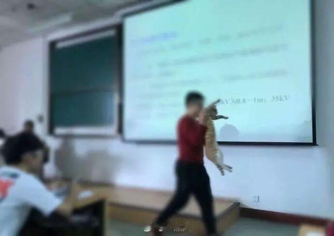 公然挑衅老师权威...老师：不听课就滚... 