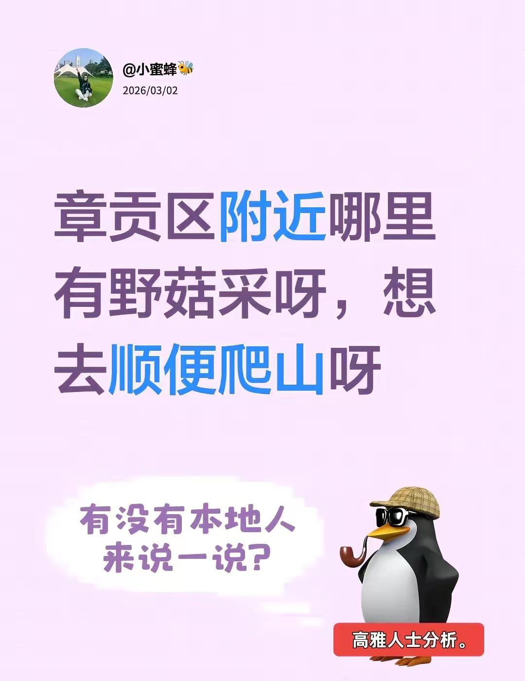 章贡区附近哪里有野菇采呀，想去顺便爬山呀一个人爬山的快乐 创作者中心