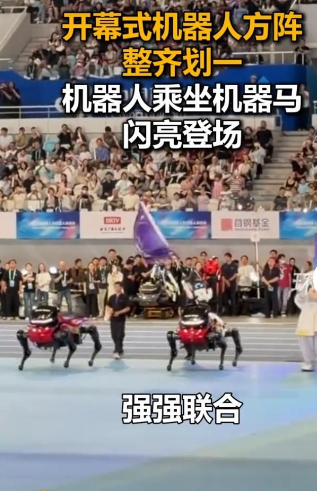 机器人运动会开幕式名场面，人形机器人骑机器马霸气亮相
 
世界人形机器人运动会开