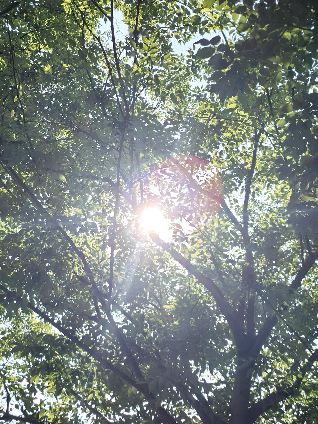 天空很蓝，
太阳很暖，
今天的我很懒。

带定位晒今日生活
我的今日状态：😁轻
