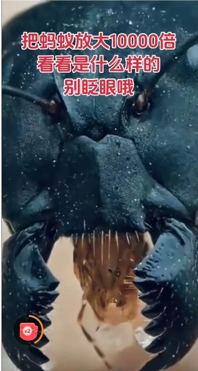 谁认识这个张着大嘴的怪物？真相不简单……

犬齿交错，霸气侧漏，金属的质感，恐龙