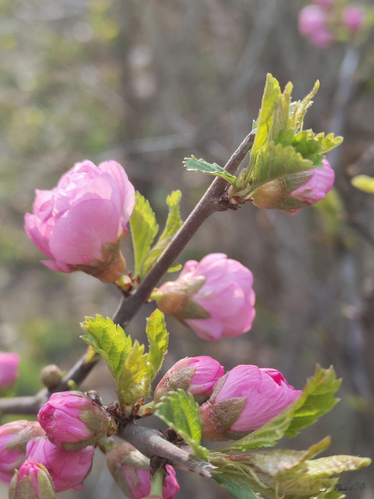 做人别太掏心，逢人只说三分话
 
做人最傻的，就是逢人就掏心窝子，心里那点心里话