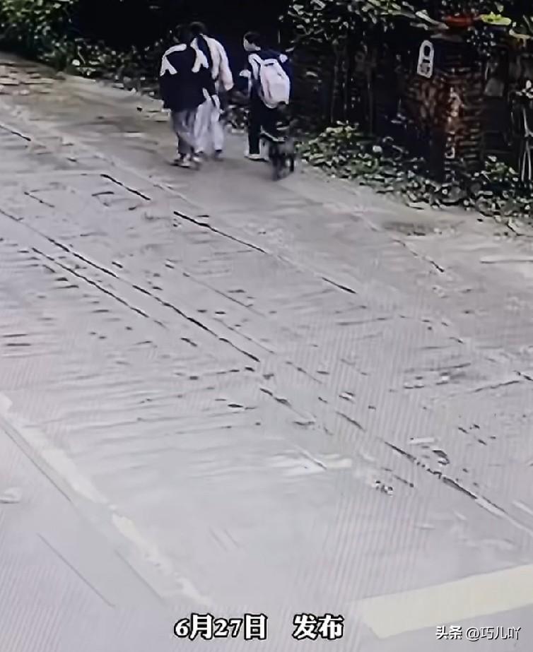 流浪狗尾随路边小女孩，企图发起攻击，孩子仅仅抬腿吓唬了一下。当狗跑到路中央时，被