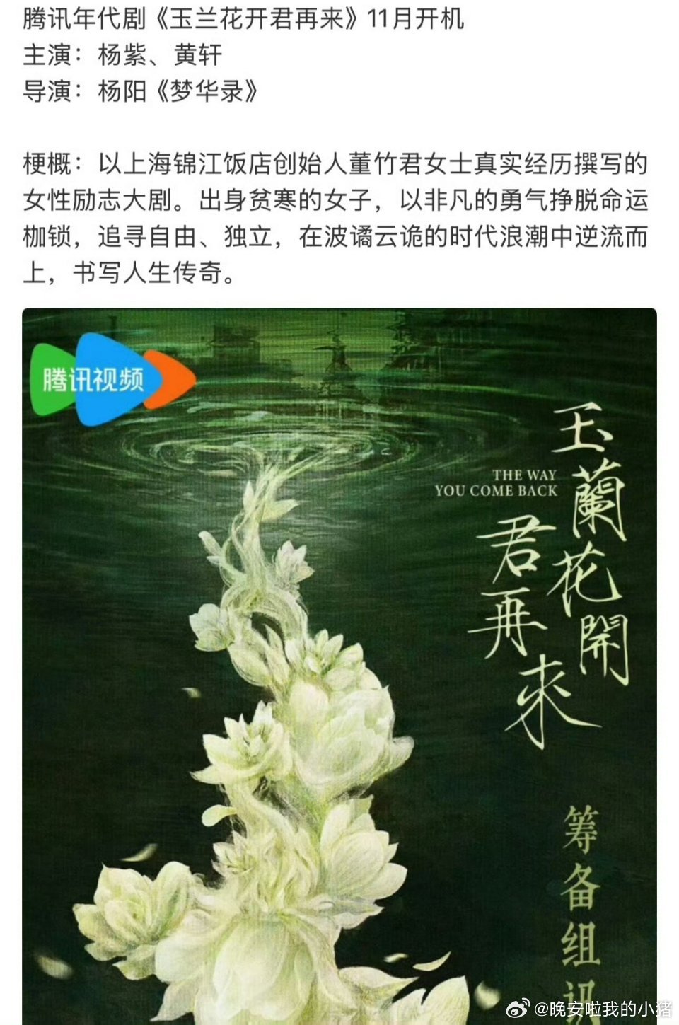 🍉杨紫玉兰花开君再来的男主是黄轩 ​​​