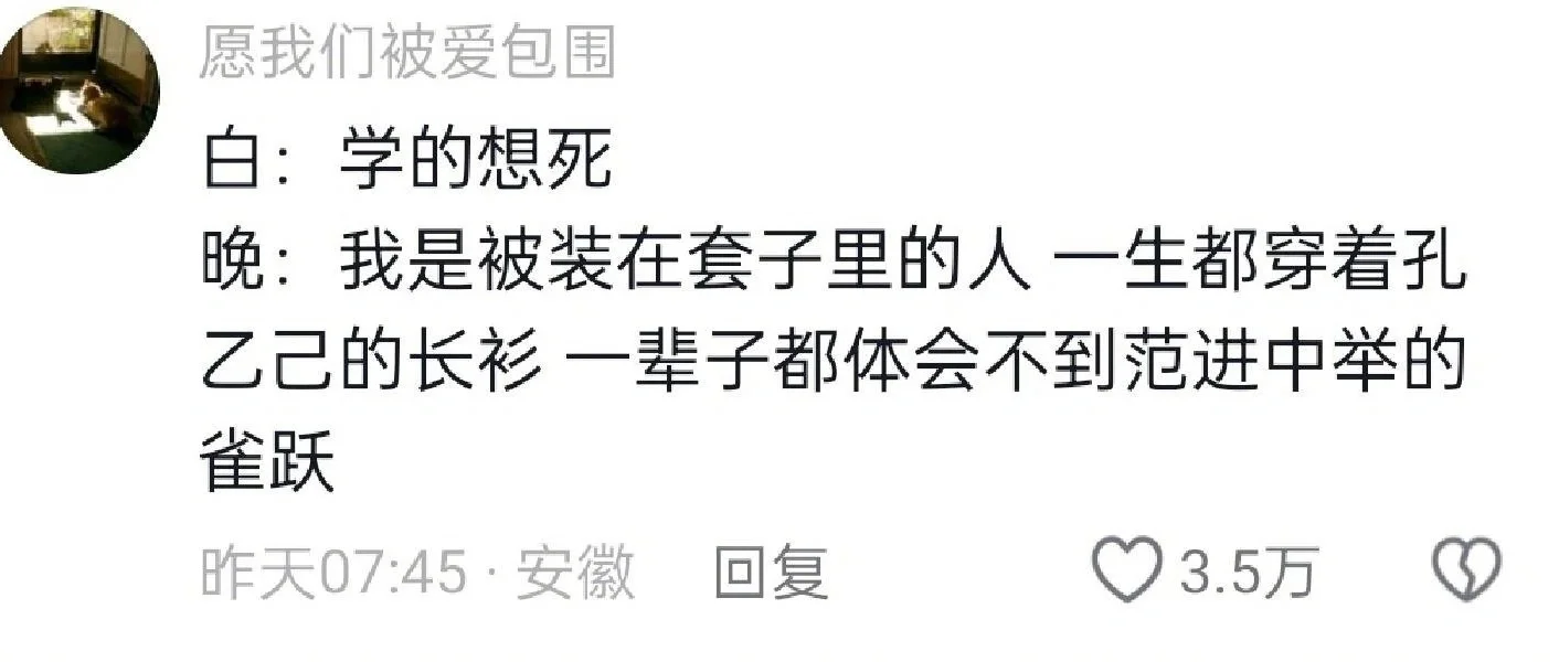 原来满腹经纶的人败给了白天！