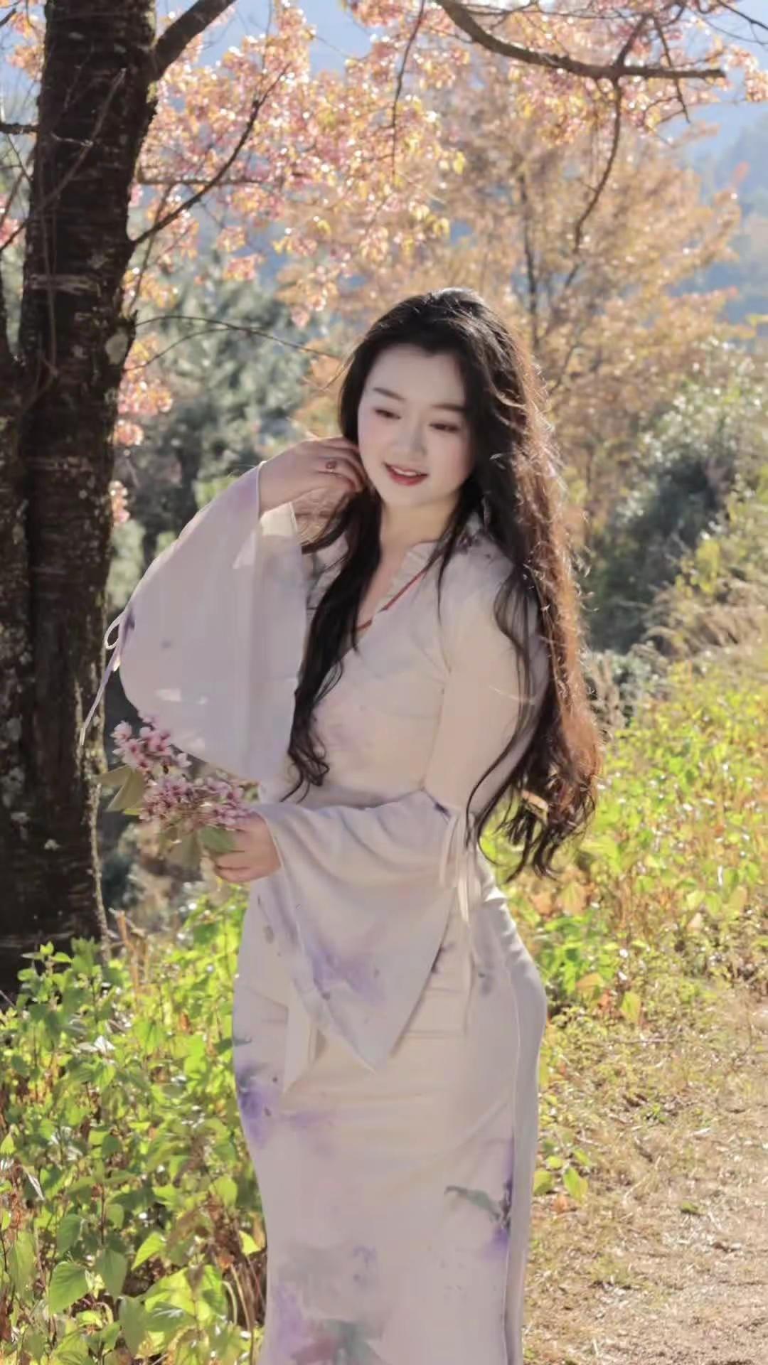 在春和景明的云南，等你来看茶园的樱花 （库存版）