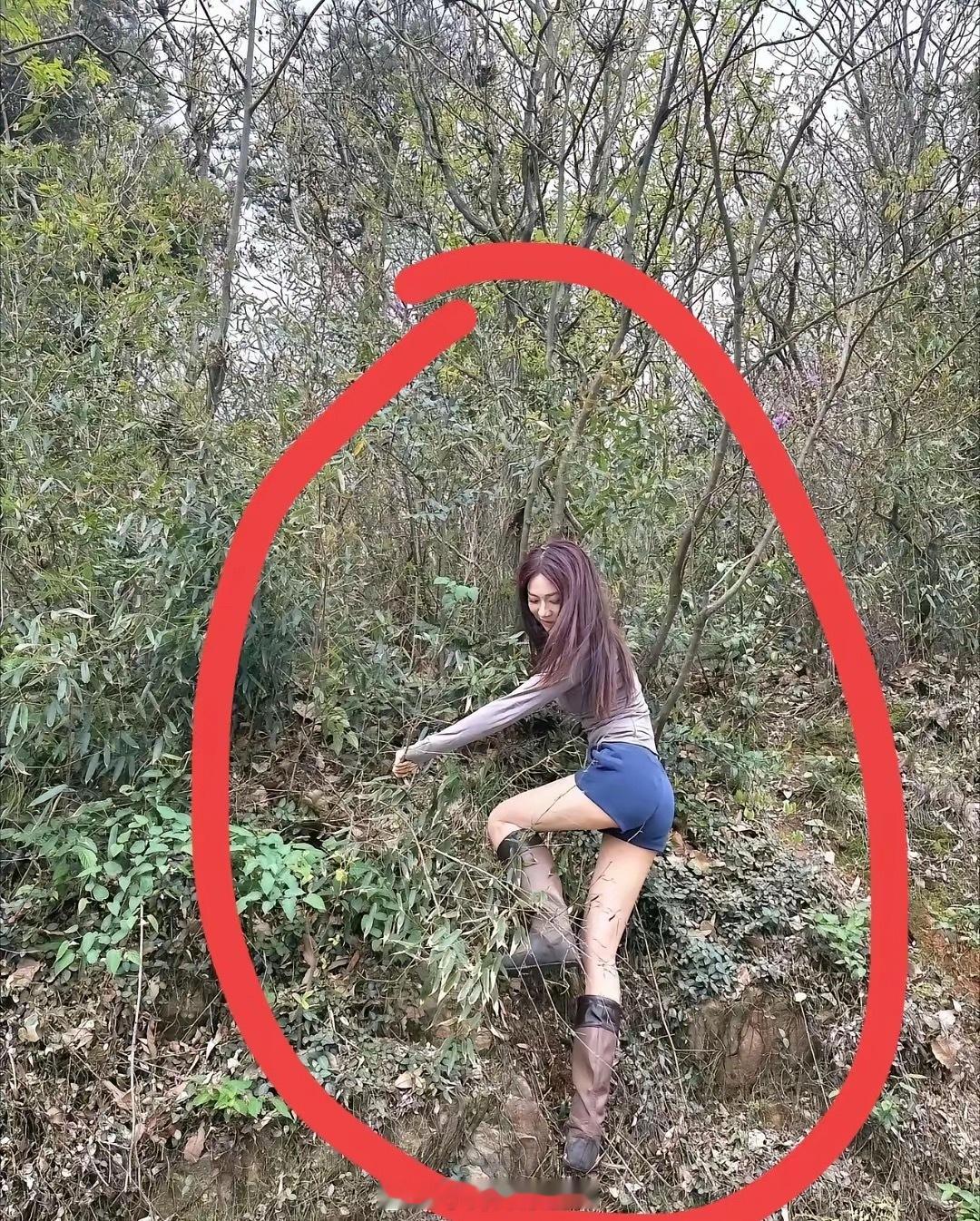 这是迷路了吗？都没有路他走到这里干什么？是不是真的迷路了 